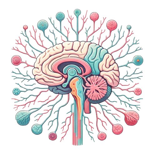 Sistema nervioso central y periférico exani-ii